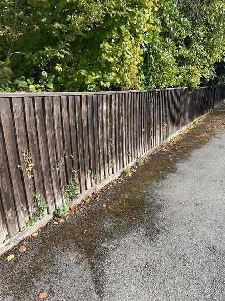 Photo of free Wooden Fence (Waterlooville PO7) #1