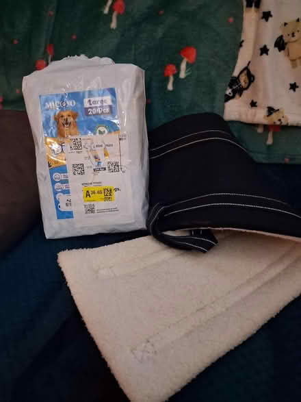 Photo of free Male dog nappies & harness (Loughborough) #1