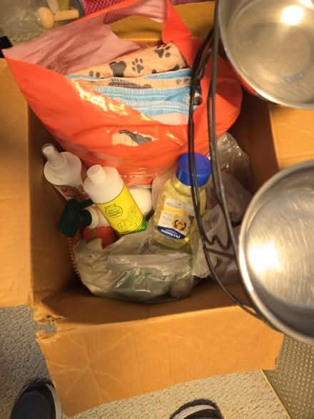 Photo of free Miscellaneous Dog Items (Billerica Center) #3