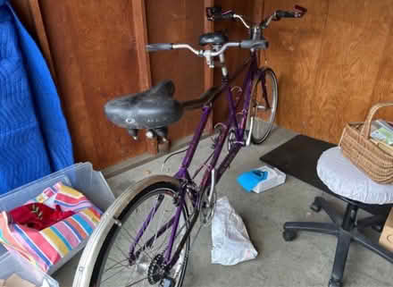 Photo of free Purple Burley Tandem Bike (Pacheco, California) #1