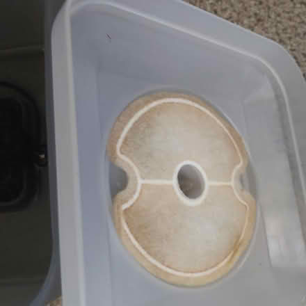 Photo of free usb cat water fountain. (Herstmonceux BN27) #3