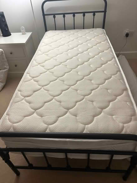 Photo of free single bed (Roffey RH12) #3