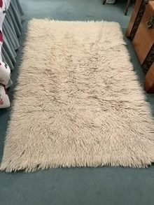 Photo of free Rug (London W6) #2