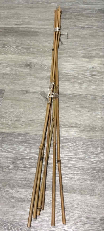Photo of free Plant support sticks (Belfast Yard CB5) #1