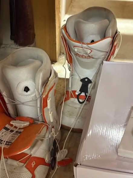 Photo of free sports equipment (Wellesley Hills) #1
