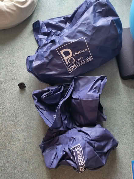 Photo of free Bags for duvet (*3) (Surbiton KT6) #1