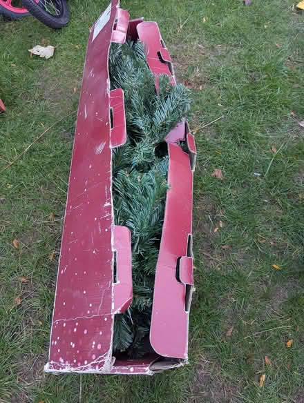 Photo of free Christmas tree (Coventry, CV5) #1