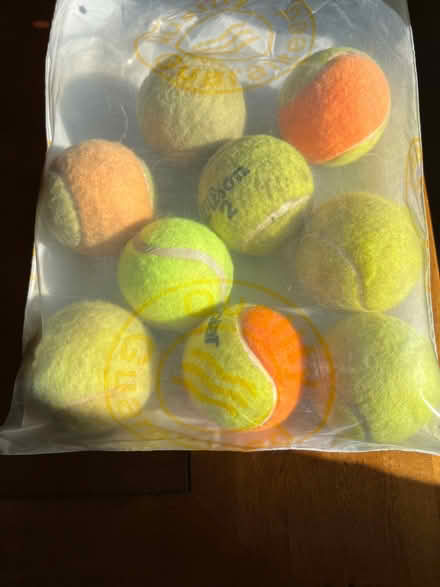 Photo of free Tennis balls (Bayworth OX13) #1