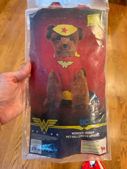 Photo of free Dog Wonder Woman costume (Lee Heights) #1
