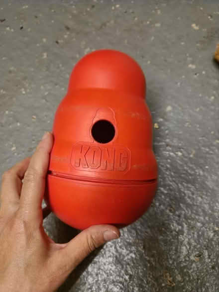 Photo of free Kong Tumbler (Letchworth SG6) #1