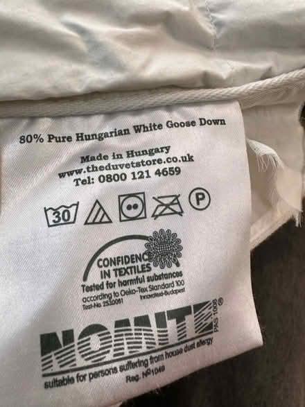 Photo of free Feather Duvet (Forest Gate, E7) #4