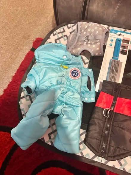 Photo of free small dog coats and playpen (Greasby) #2