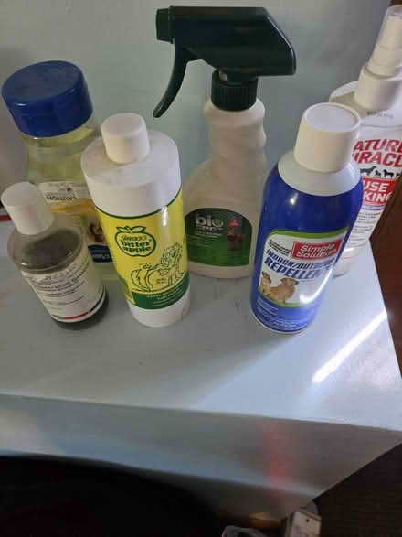 Photo of free Miscellaneous Dog Items (Billerica Center) #2