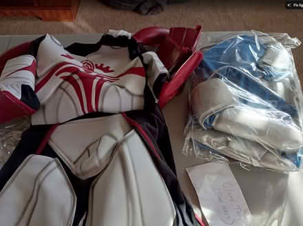 Photo of free Halloween costumes - boys (Temple City) #1