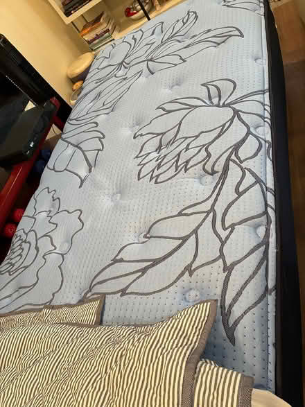 Photo of free Twin bed adjustable frame, mattress (South Boulder, Table Mesa) #1