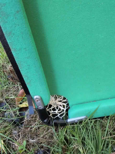 Photo of free Kids pool table (Handcross) #3
