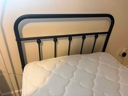 Photo of free single bed (Roffey RH12) #1