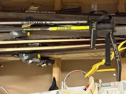 Photo of free sports equipment (Wellesley Hills) #3