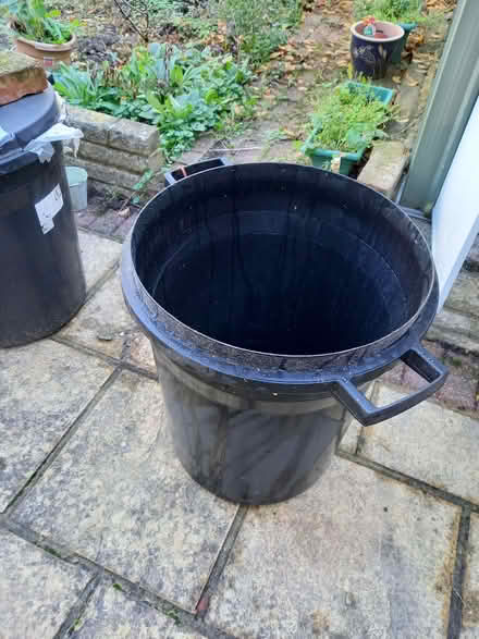 Photo of free Dustbin No Lid (Brentwood CM15) #2