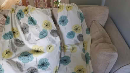 Photo of free Lined Pencil Pleat Curtains (Stevenage, Great Ashby, SG1) #1