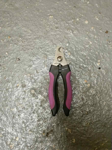 Photo of free Dog nail cutter (Letchworth SG6) #1