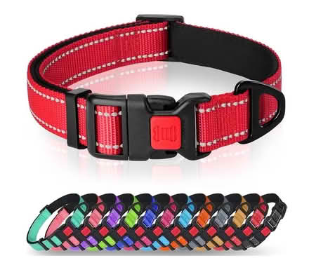 Photo of Small/ medium dog collar (Wigton CA7) #1