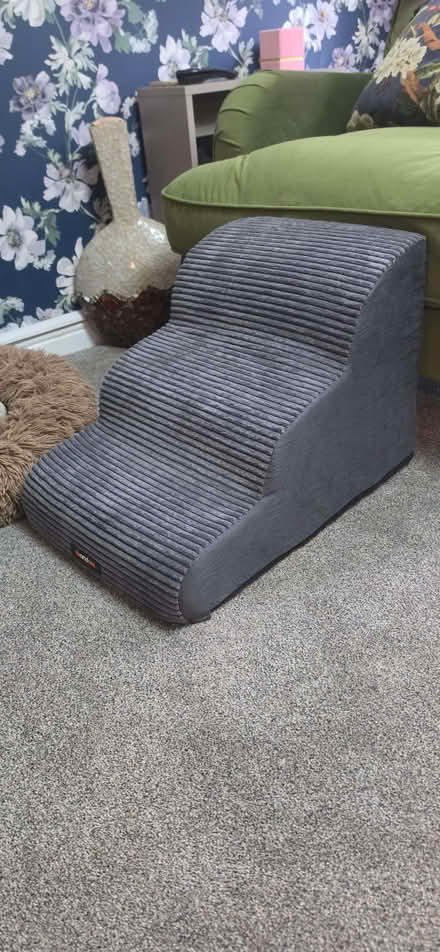 Photo of free Dog Steps for Sofa, bed etc. (Branksome BH13) #2