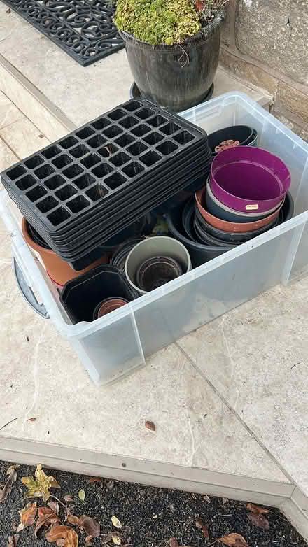 Photo of free Plant pots (Dore) #1