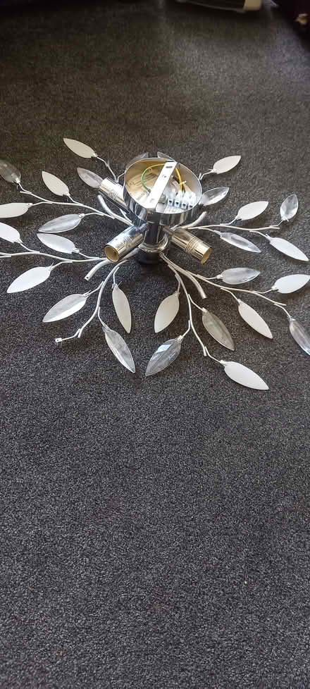 Photo of free leaf design ceiling light fitting (Euxton PR7) #1