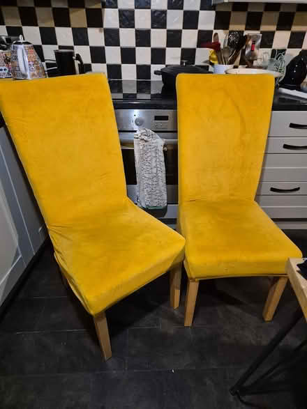 Photo of free Dining chairs (Ballyfermot) #1