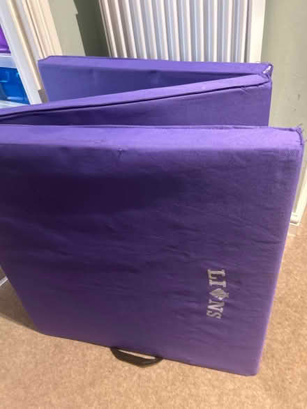 Photo of free Gym mat (Waterbeach) #1