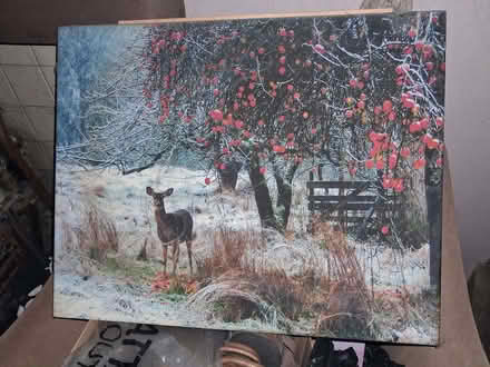 Photo of free Large canvas pictures x4 and a large pinboard (Stratton Strawless NR10) #1