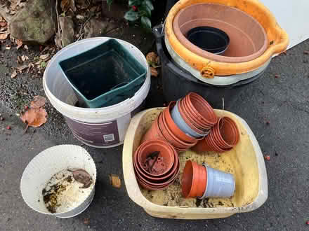 Photo of free Plant pots (Great Boughton CH3) #1