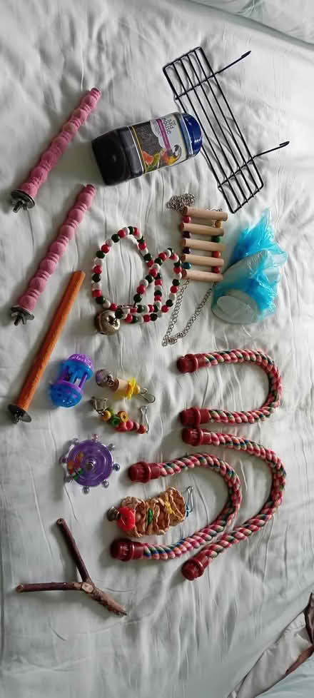 Photo of free Budgie Toys, Perches etc (Baldock, SG7) #1