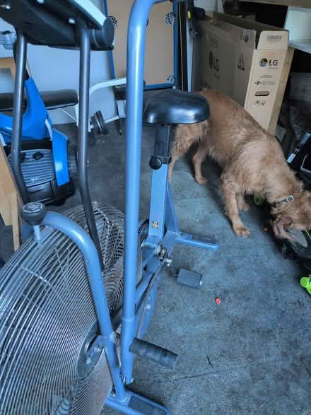 Photo of free Some exercise contraption (Handcross) #3
