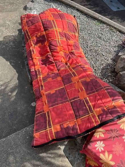 Photo of free Sleeping bag (Teignmouth TQ14) #1