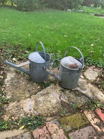 Photo of free Watering cans (Forest Green. RH5 5SA) #1