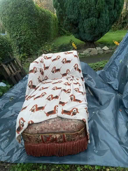 Photo of free Red patterned divan (Greenhill S8) #3