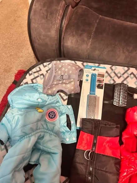 Photo of free small dog coats and playpen (Greasby) #1