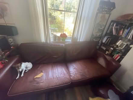 Photo of free Brown leather 4 seat sofa (Hartham Road N7) #1