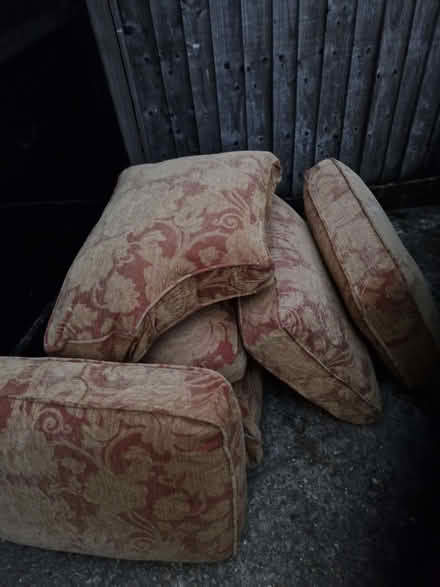 Photo of free Sofa cushions (Great Baddow CM2) #1