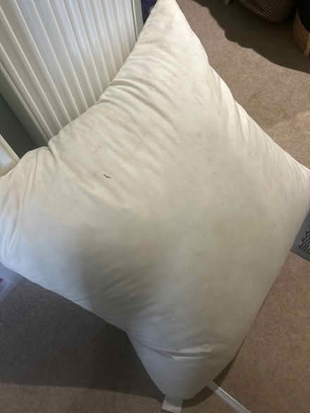 Photo of free Giant feather floor cushion (Waterbeach) #1