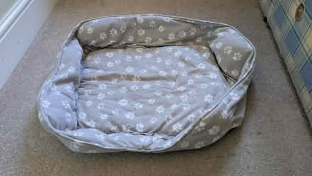 Photo of free Soft dog bed (Staple Hill BS15) #1