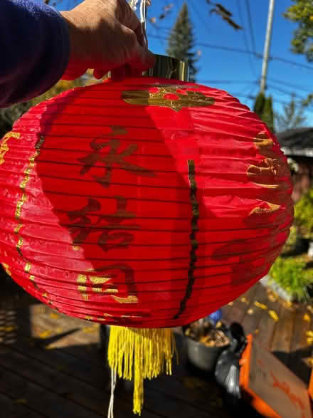 Photo of free Chinese lanterns (Elmvale Acres) #2