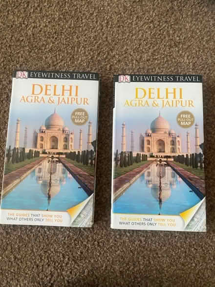 Photo of free 2 x Eyewitness Delhi Books (Bournemouth BH9) #1