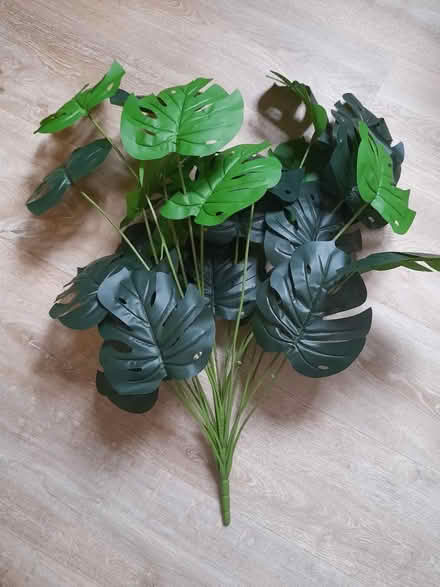 Photo of free Fake plant (Larkhall, Bath BA1) #1