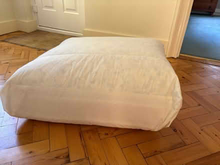 Photo of free Large seat cushion (West Horsley KT24) #2