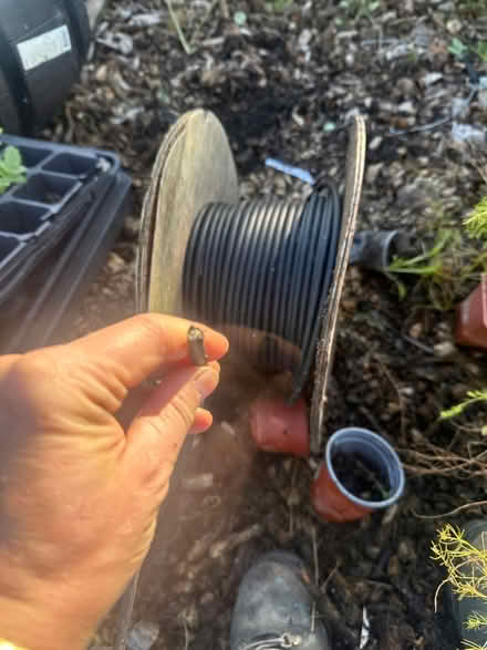 Photo of free Electrical wire (Hockley SS5) #1