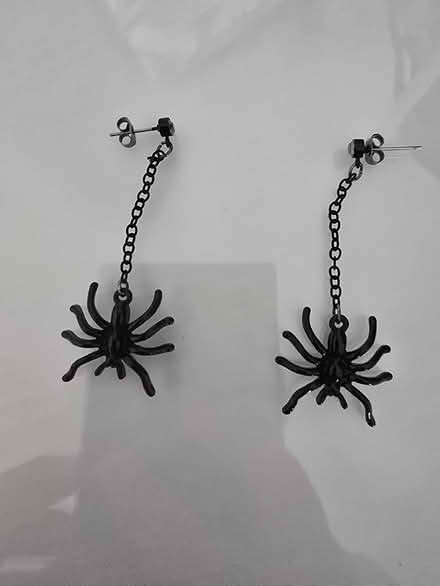 Photo of free Spider earrings (Portchester PO16) #1