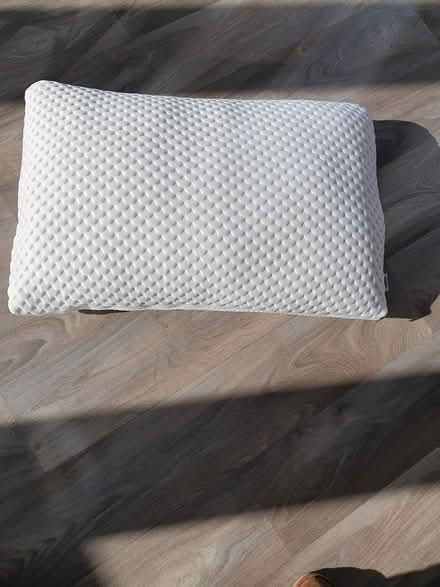 Photo of free Tempura comfort pillow (Alveston) #1